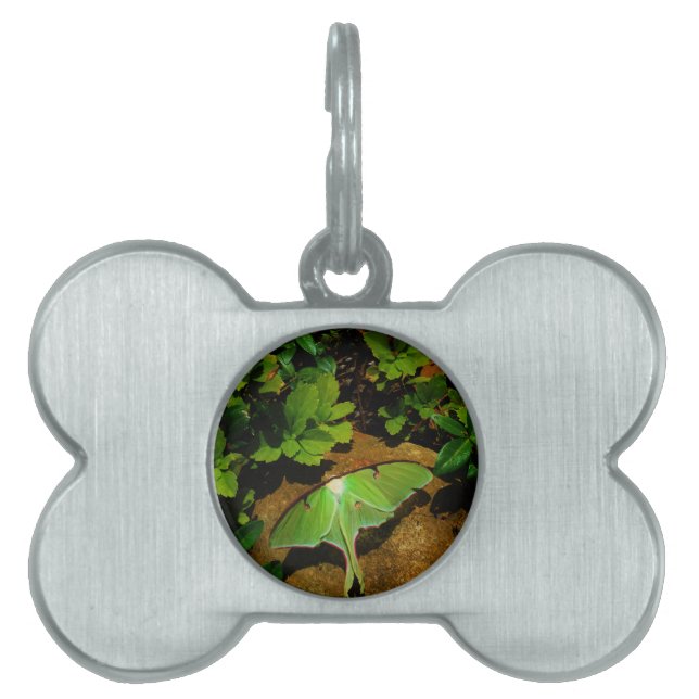 Placa Para Mascotas Lágrima luna verde gigante (Frente)