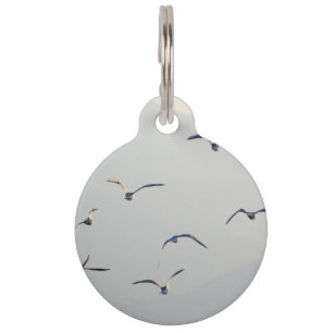 Placa Para Mascotas Las gaviotas vuelan volando