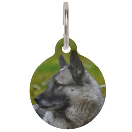 Placa Para Mascotas Lebrel alce.