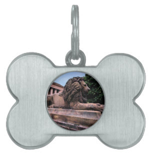 Placa Para Mascotas León