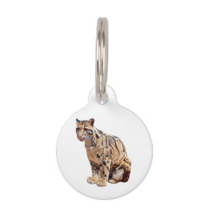 Placa Para Mascotas leopardo nublado fotografía selva gran gato animal