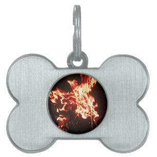 Placa Para Mascotas Levantamiento de Phoenix