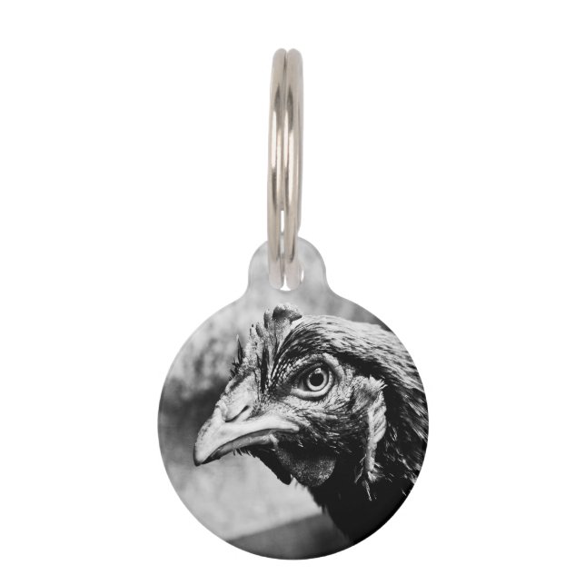 Placa Para Mascotas licores y pollos (Anverso)
