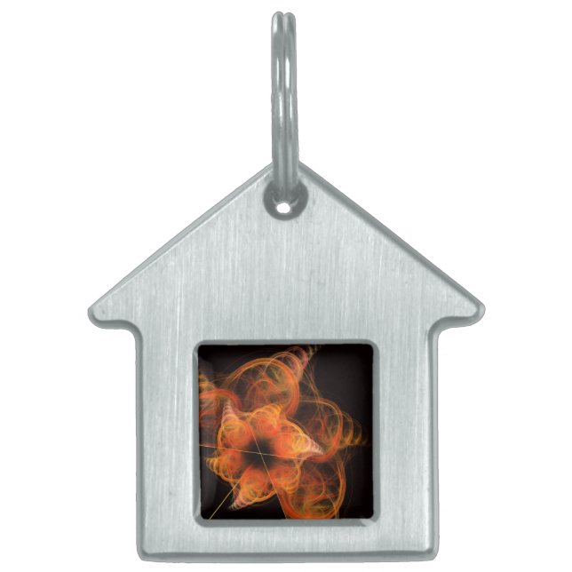 Placa Para Mascotas Lightworks Resumen Casa de Arte (Frente)