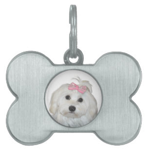 Placa Para Mascotas Lili, adorable maltés blanco y esponjoso