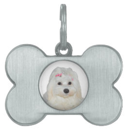 Placa Para Mascotas Lili, lindo maltés blanco y esponjoso