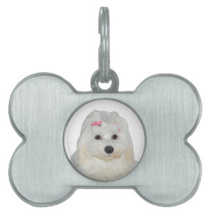 Placa Para Mascotas Lili maltesa blanca suave