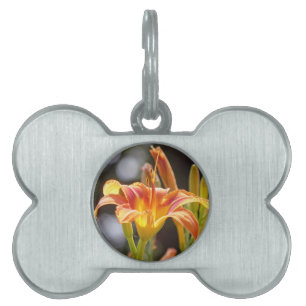 Placa Para Mascotas Lilies al sol