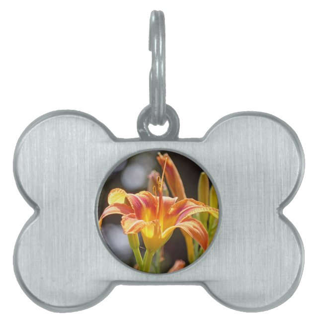 Placa Para Mascotas Lilies al sol (Frente)