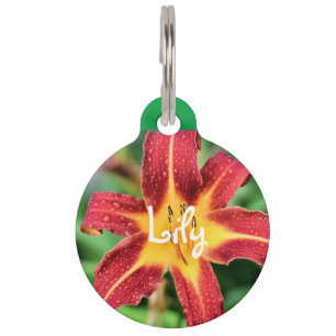 Placa Para Mascotas Lily