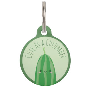 Placa Para Mascotas Lindo como pepino Cutecumber divertido