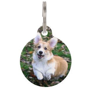 Placa Para Mascotas Lindo perro Corgi saltando