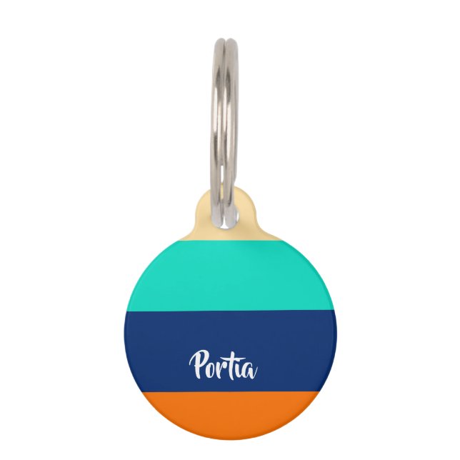 Placa Para Mascotas Líneas multicolores con patrones (Anverso)