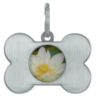 Placa Para Mascotas Lirio de agua crema02.JPG