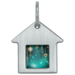 Placa Para Mascotas Llaves esqueleto antiguas sobre fondo verde