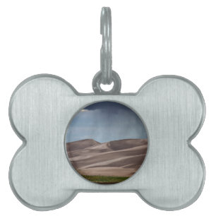 Placa Para Mascotas Lluvia en las grandes dunas de arena