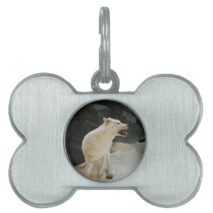 Placa Para Mascotas Lobo Blanco