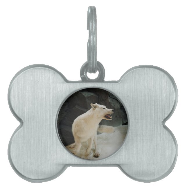 Placa Para Mascotas Lobo Blanco (Frente)