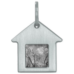 Placa Para Mascotas los árboles llevan invierno