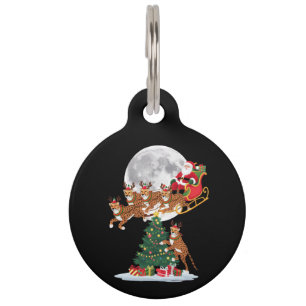 Placa Para Mascotas Luces de árbol de Navidad, Santa divertido montand