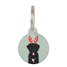 Placa Para Mascotas Luces de Navidades de renos de perro negro