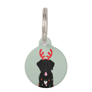 Placa Para Mascotas Luces de Navidades de renos de perro negro