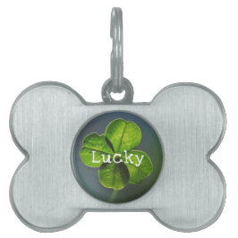 Placa Para Mascotas Lucky Green Four Leaf Clover