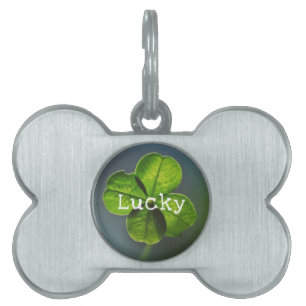 Placa Para Mascotas Lucky Green Four Leaf Clover