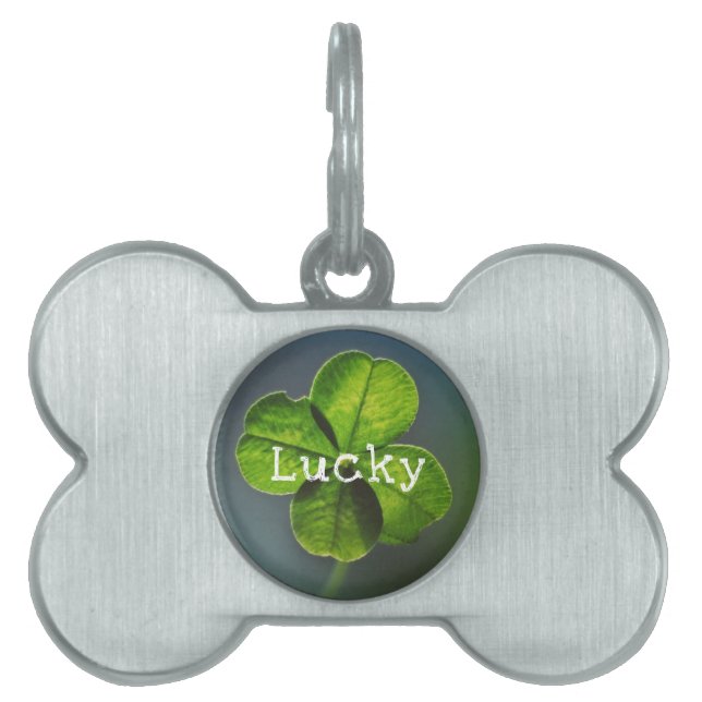 Placa Para Mascotas Lucky Green Four Leaf Clover (Frente)