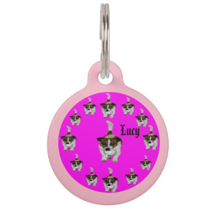 Placa Para Mascotas Lucy The Fox Terrier,