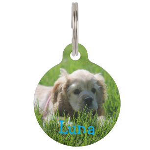 Placa Para Mascotas Luna