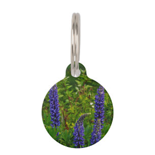 Placa Para Mascotas Lupines