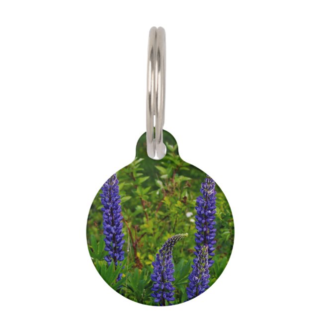 Placa Para Mascotas Lupines (Anverso)