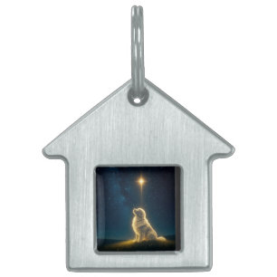 Placa Para Mascotas Luz de estrellas