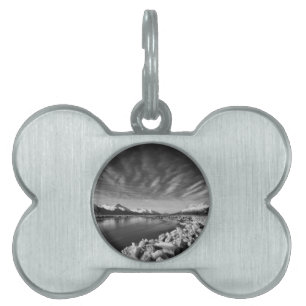 Placa Para Mascotas Luz de luna del brazo de retorno