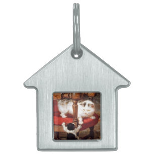 PLACA PARA MASCOTAS MADRE CAT CON KITTENS DESPERTANDO