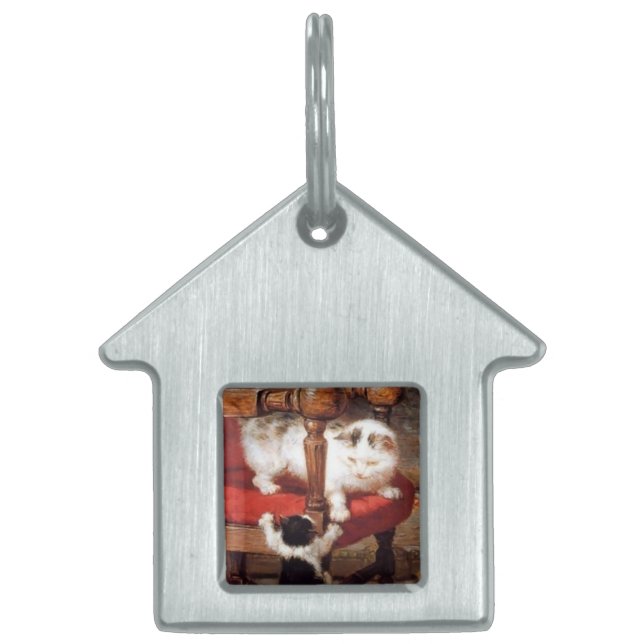 PLACA PARA MASCOTAS MADRE CAT CON KITTENS DESPERTANDO (Frente)