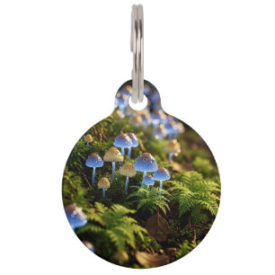 Placa Para Mascotas Magical Bioluminescent Fungi - Deep Forest