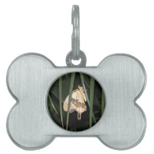 Placa Para Mascotas Magnífica etiqueta de mascota de polilla