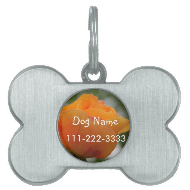 Placa Para Mascotas Magnífica fotografía de flores de rosa amarillo. (Frente)