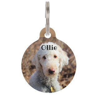 Placa Para Mascotas Mah