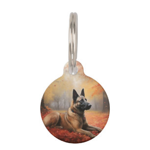 Placa Para Mascotas Malinois Belga en Hojas de Otoño Caídas Inspira
