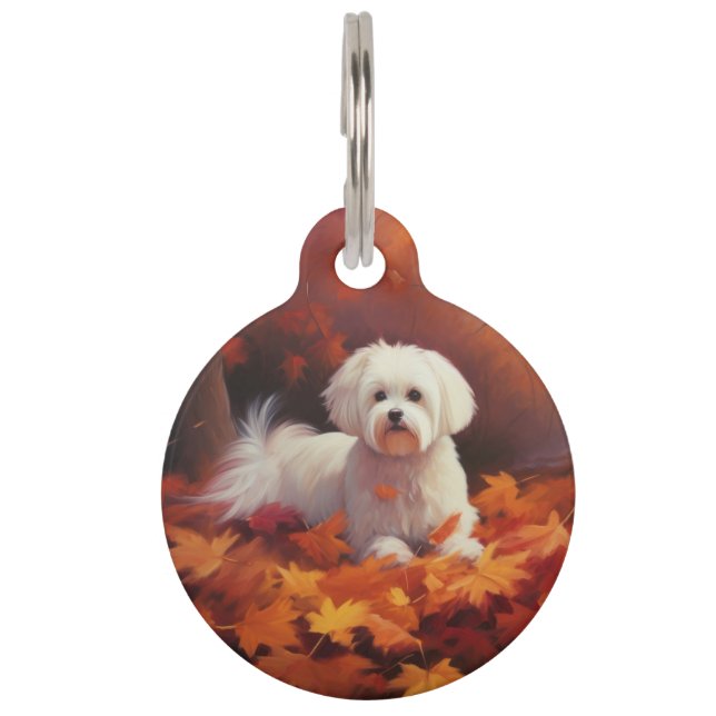 Placa Para Mascotas Maltés en otoño inspiran hojas que caen (Anverso)