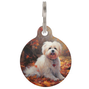 Placa Para Mascotas Malti Tzu en las hojas de otoño caen Inspiran