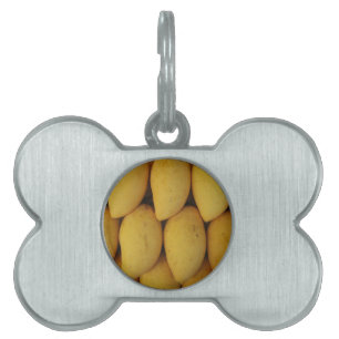 Placa Para Mascotas Mango