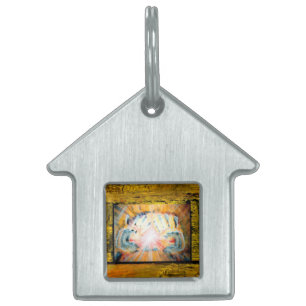 Placa Para Mascotas Manos curativas