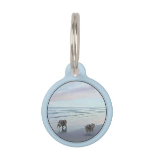 Placa Para Mascotas Manos en la pintura de perro en la costa