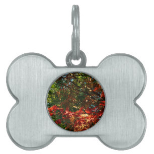 Placa Para Mascotas Maple japonés en otoño