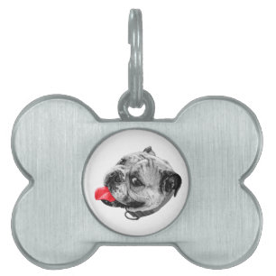 Placa Para Mascotas Marcado con cuidado familiar