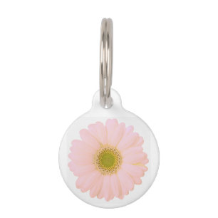 Placa Para Mascotas Margarita rosa clara en el blanco personalizado
